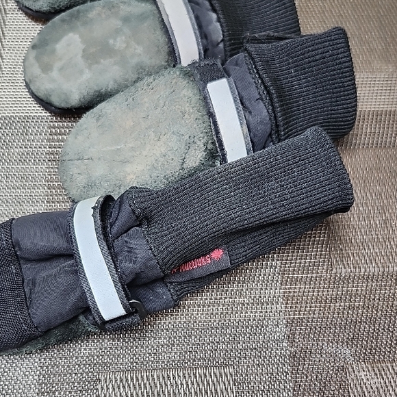 Black Reptile with Unique Features - Picture 5 of 5